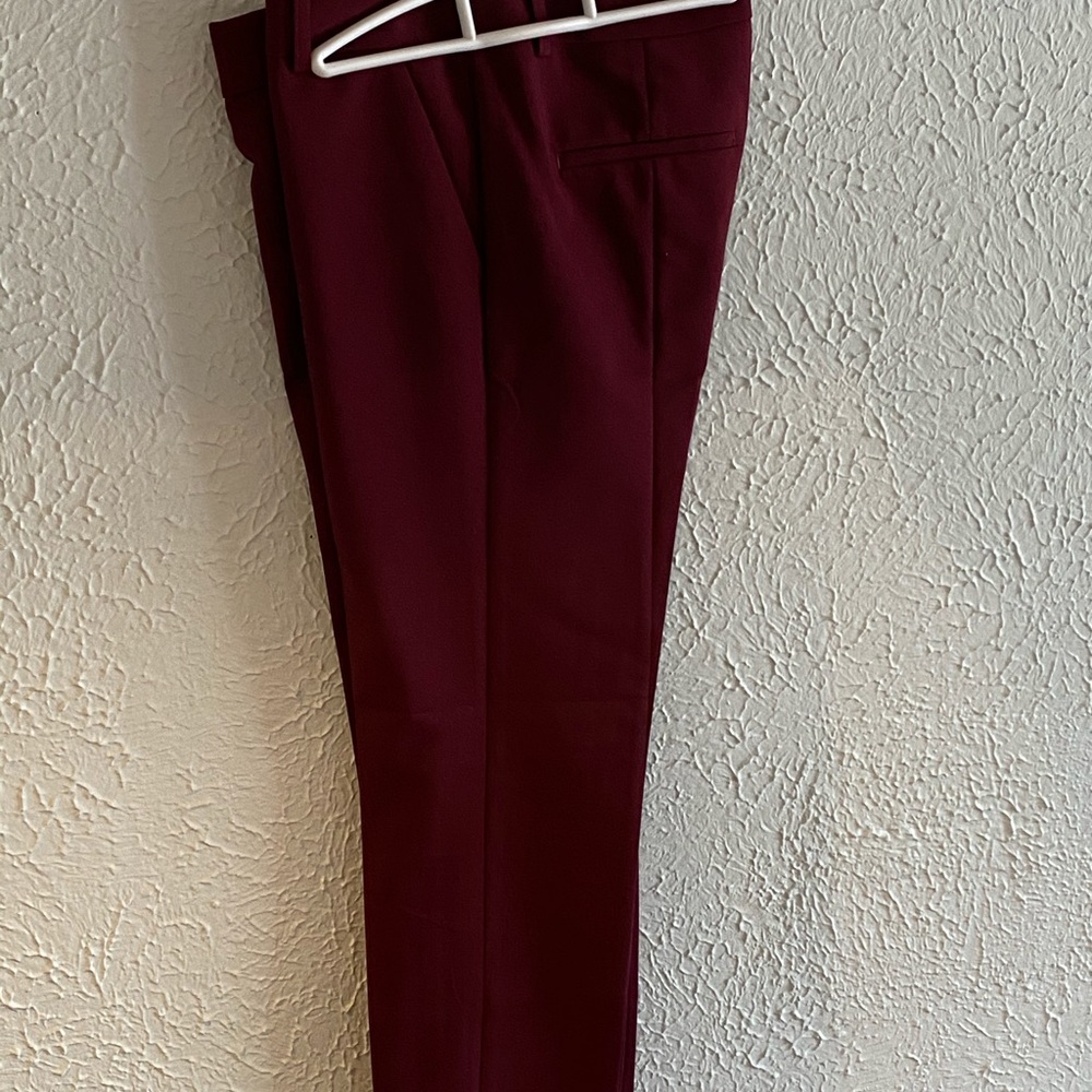 Express columnist dress pants .
